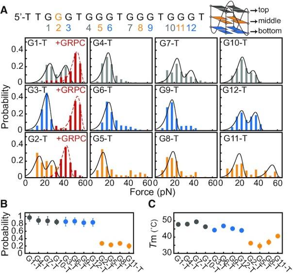 https://cdn.ncbi.nlm.nih.gov/pmc/blobs/3279/8266575/14e742e6e7f2/gkab531fig3.jpg