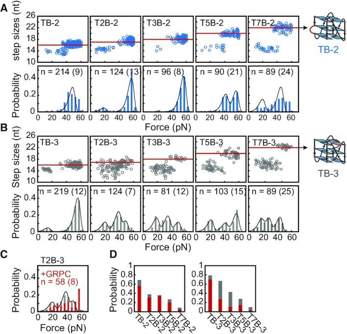 https://cdn.ncbi.nlm.nih.gov/pmc/blobs/3279/8266575/ebdbd7fb268a/gkab531fig4.jpg