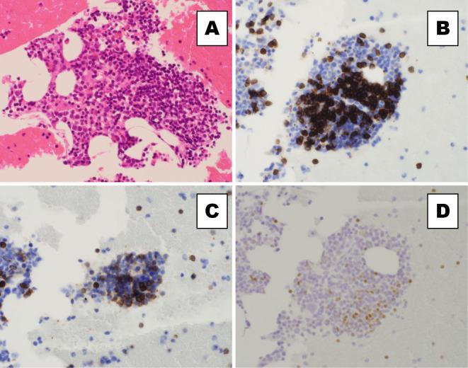 https://cdn.ncbi.nlm.nih.gov/pmc/blobs/327a/8580765/41673cf63a9c/1349-7235-60-3305-g002.jpg