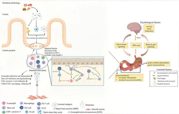 https://cdn.ncbi.nlm.nih.gov/pmc/blobs/327b/10035075/8e6d924df2ce/fnins-17-1109510-g009.jpg