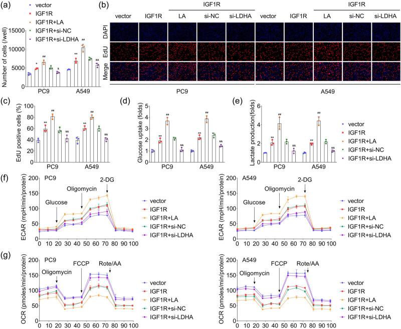 https://cdn.ncbi.nlm.nih.gov/pmc/blobs/327d/11151389/1cf4d050d1d4/j_biol-2022-0874-fig005.jpg