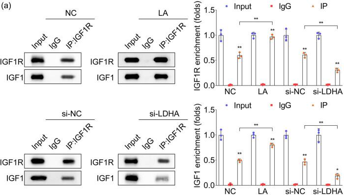https://cdn.ncbi.nlm.nih.gov/pmc/blobs/327d/11151389/8f8bdf445642/j_biol-2022-0874-fig004.jpg