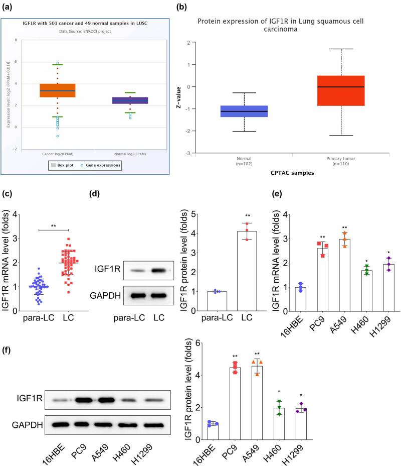 https://cdn.ncbi.nlm.nih.gov/pmc/blobs/327d/11151389/b137a0c72bdd/j_biol-2022-0874-fig001.jpg