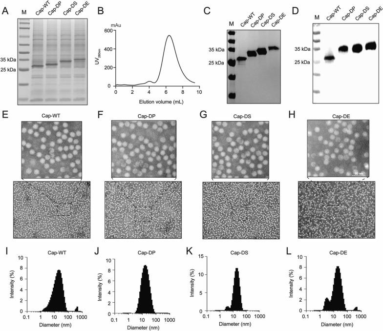 https://cdn.ncbi.nlm.nih.gov/pmc/blobs/327e/12164076/174e68e99968/12951_2025_3514_Fig2_HTML.jpg