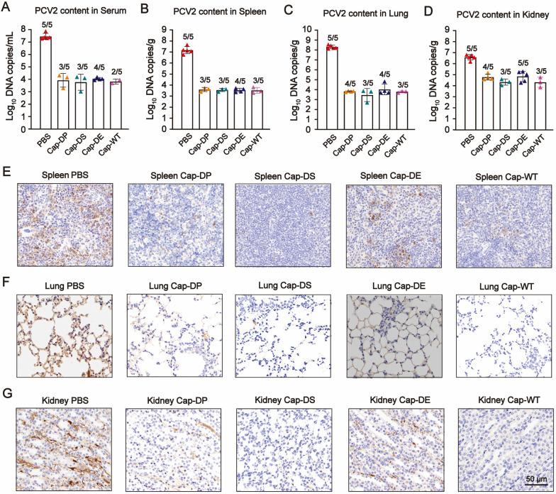 https://cdn.ncbi.nlm.nih.gov/pmc/blobs/327e/12164076/4b01bd3beb85/12951_2025_3514_Fig5_HTML.jpg