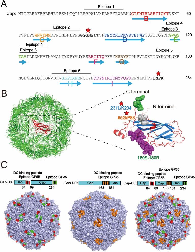 https://cdn.ncbi.nlm.nih.gov/pmc/blobs/327e/12164076/80cec9a1c0d6/12951_2025_3514_Fig1_HTML.jpg