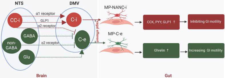 https://cdn.ncbi.nlm.nih.gov/pmc/blobs/327f/12163389/70409fd45cfa/ijmsv22p2620g003.jpg