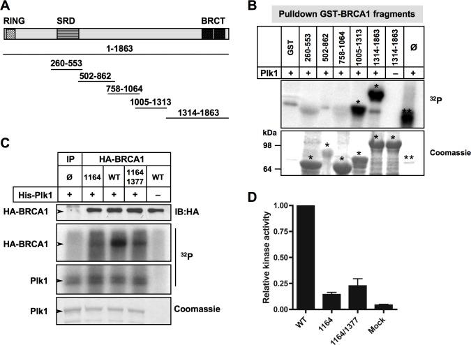 https://cdn.ncbi.nlm.nih.gov/pmc/blobs/327f/4823034/af45f9341ee3/oncotarget-07-2269-g005.jpg