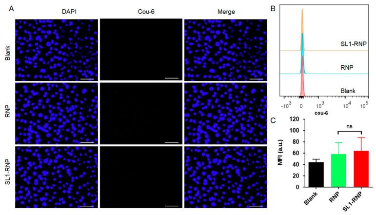 https://cdn.ncbi.nlm.nih.gov/pmc/blobs/3280/9415068/526643bcdeff/membranes-12-00744-g004.jpg