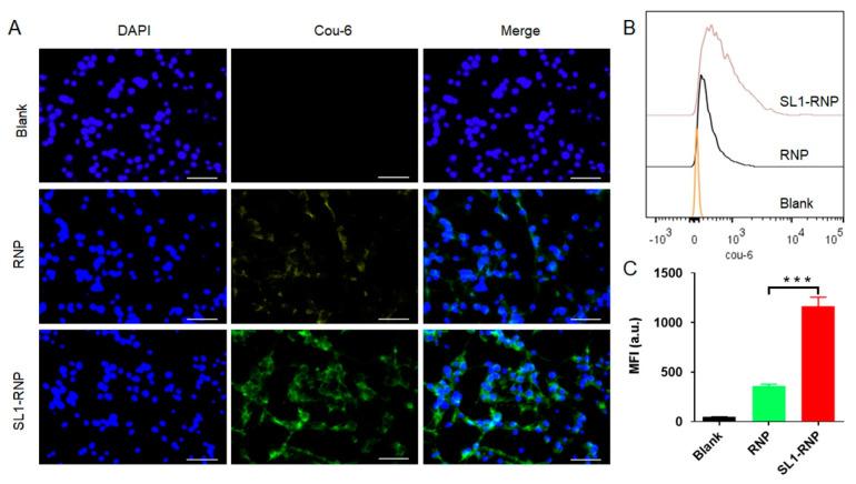 https://cdn.ncbi.nlm.nih.gov/pmc/blobs/3280/9415068/9deb17798958/membranes-12-00744-g003.jpg