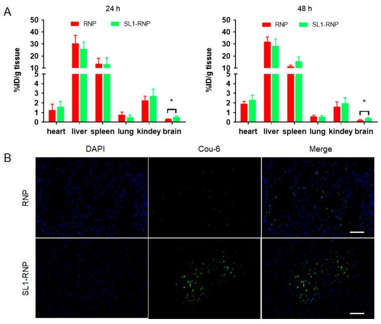 https://cdn.ncbi.nlm.nih.gov/pmc/blobs/3280/9415068/fdc9455587c0/membranes-12-00744-g006.jpg