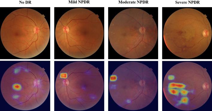 https://cdn.ncbi.nlm.nih.gov/pmc/blobs/3281/9301845/f7509d7c399a/12938_2022_1018_Fig5_HTML.jpg