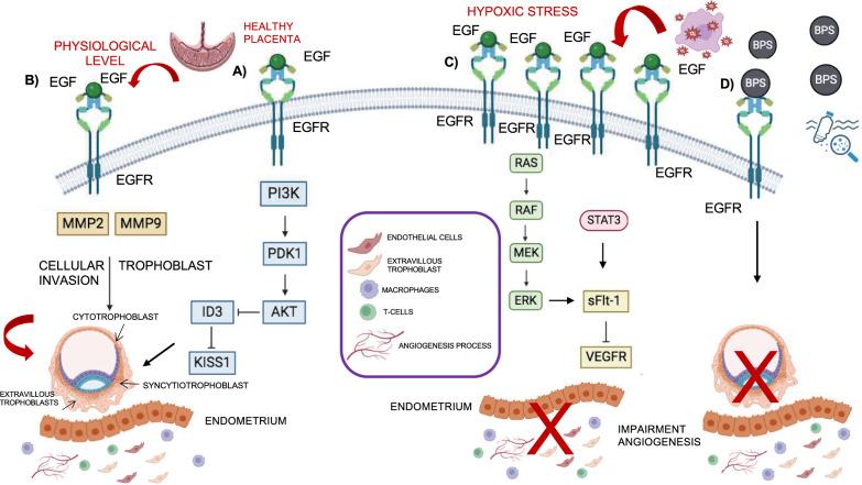 https://cdn.ncbi.nlm.nih.gov/pmc/blobs/3283/11837477/ca18dd7ee131/12929_2025_1119_Fig3_HTML.jpg