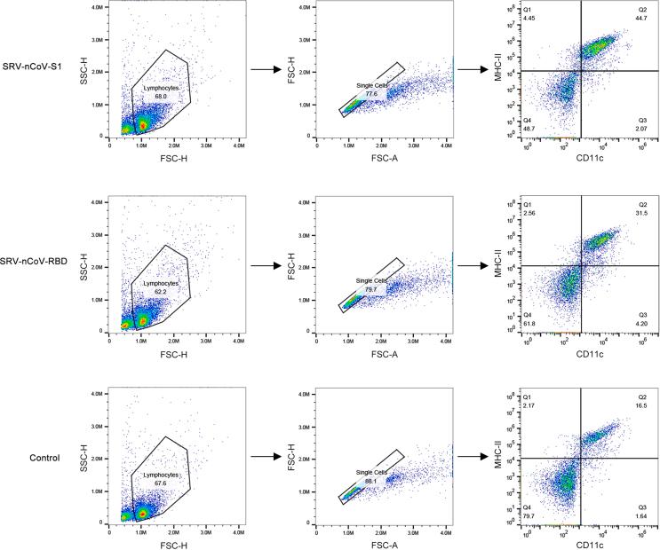 https://cdn.ncbi.nlm.nih.gov/pmc/blobs/3284/10176443/a192adb4fcba/figs1.jpg