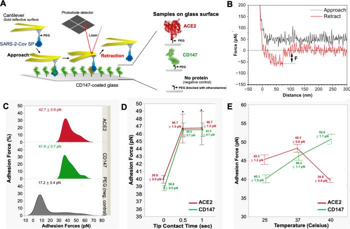 https://cdn.ncbi.nlm.nih.gov/pmc/blobs/3284/12368639/7900647528ba/ao5c03562_0002.jpg