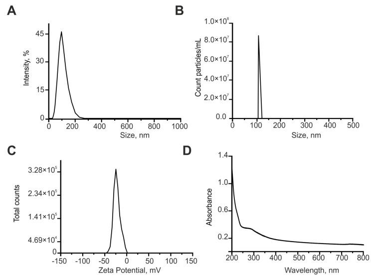 https://cdn.ncbi.nlm.nih.gov/pmc/blobs/3285/10531718/6a6d26bddb34/ijms-24-14305-g008.jpg