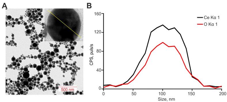 https://cdn.ncbi.nlm.nih.gov/pmc/blobs/3285/10531718/85a74dd45795/ijms-24-14305-g009.jpg