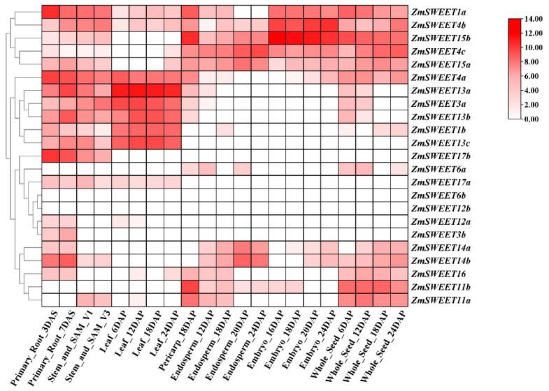 https://cdn.ncbi.nlm.nih.gov/pmc/blobs/3288/9601529/6f465289faec/genes-13-01682-g006.jpg