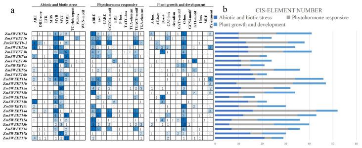 https://cdn.ncbi.nlm.nih.gov/pmc/blobs/3288/9601529/74f125c9c85a/genes-13-01682-g005.jpg