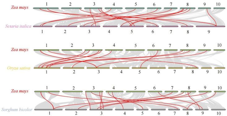 https://cdn.ncbi.nlm.nih.gov/pmc/blobs/3288/9601529/b2adc1583c43/genes-13-01682-g004.jpg