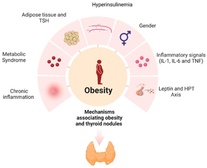 https://cdn.ncbi.nlm.nih.gov/pmc/blobs/328a/10305406/3988bd947bf9/life-13-01292-g002.jpg