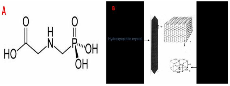 https://cdn.ncbi.nlm.nih.gov/pmc/blobs/328a/12196844/615f89e63c42/toxics-13-00456-g001.jpg
