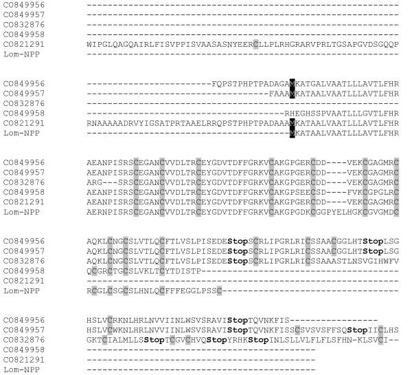 https://cdn.ncbi.nlm.nih.gov/pmc/blobs/328a/1574313/1e736a91f980/1471-2164-7-201-2.jpg