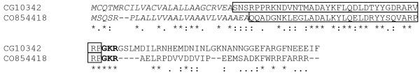 https://cdn.ncbi.nlm.nih.gov/pmc/blobs/328a/1574313/52b03a81c9d4/1471-2164-7-201-7.jpg