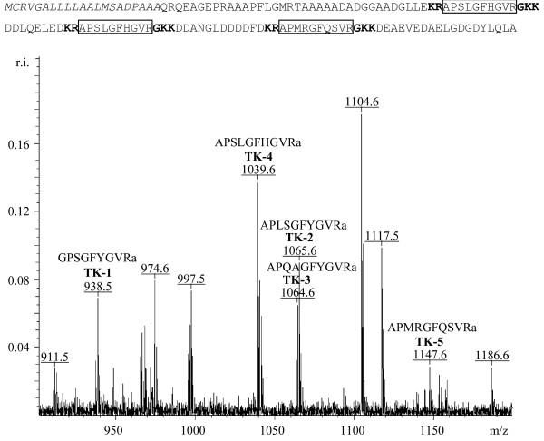 https://cdn.ncbi.nlm.nih.gov/pmc/blobs/328a/1574313/eaf7df899951/1471-2164-7-201-3.jpg
