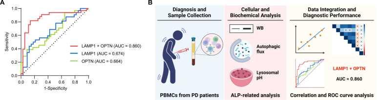 https://cdn.ncbi.nlm.nih.gov/pmc/blobs/328b/11786884/72736232227b/gr5.jpg