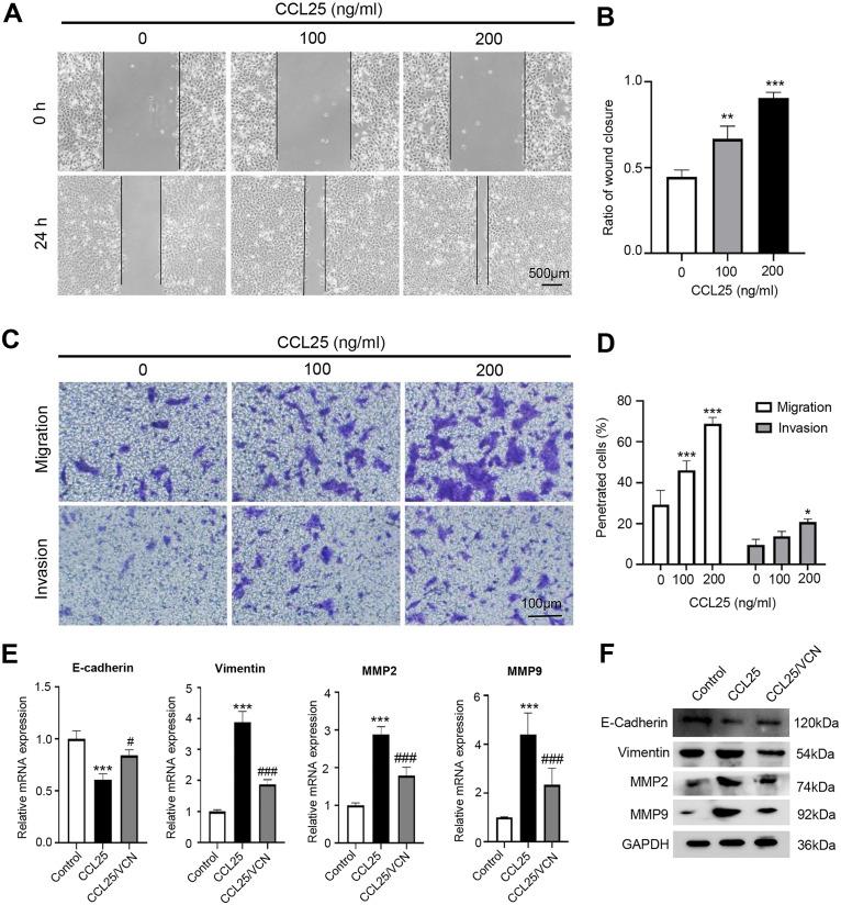 https://cdn.ncbi.nlm.nih.gov/pmc/blobs/328e/9394511/4a5674c19a99/peerj-10-13844-g003.jpg