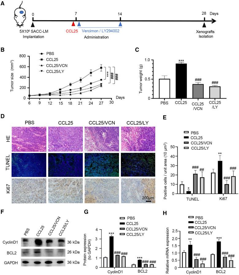 https://cdn.ncbi.nlm.nih.gov/pmc/blobs/328e/9394511/5726a7696a4f/peerj-10-13844-g007.jpg