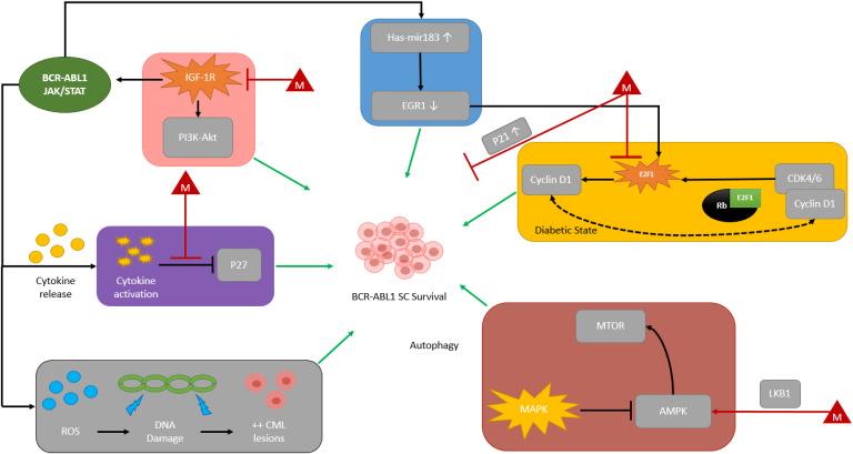 https://cdn.ncbi.nlm.nih.gov/pmc/blobs/328f/9047107/0d2403425113/10.1177_10781552221077254-fig1.jpg