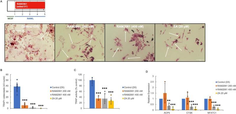 https://cdn.ncbi.nlm.nih.gov/pmc/blobs/3292/11653010/6ad27cf17bd2/ziae133f3.jpg