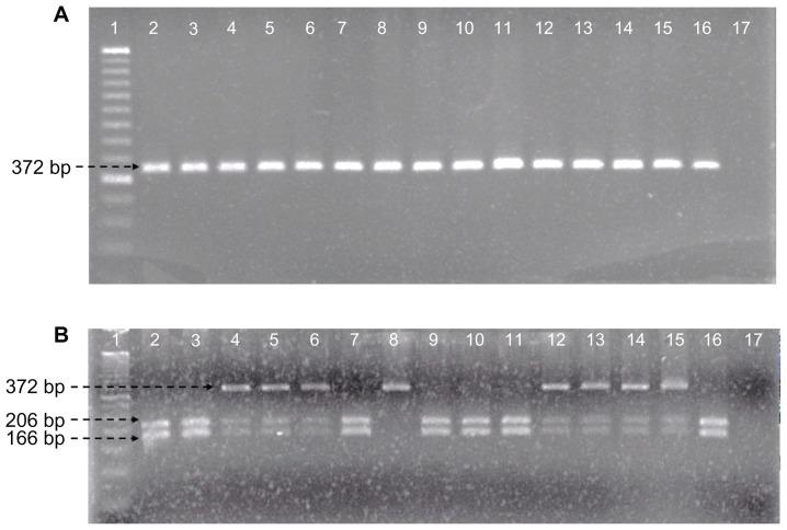 https://cdn.ncbi.nlm.nih.gov/pmc/blobs/3295/3484511/13e8a9696ae9/dmso-5-369f1.jpg