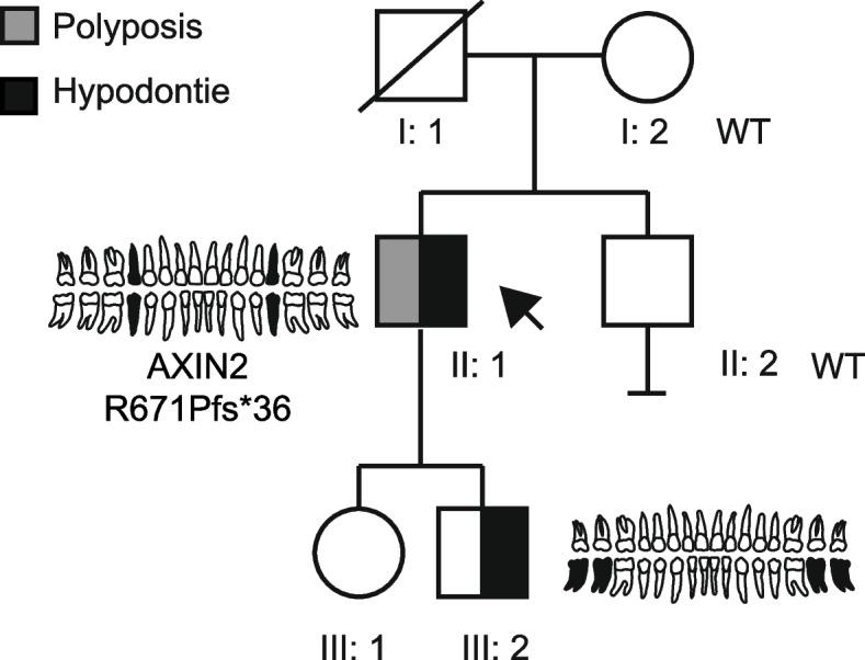 https://cdn.ncbi.nlm.nih.gov/pmc/blobs/3296/10464116/5b6c595d598f/13053_2023_260_Fig2_HTML.jpg