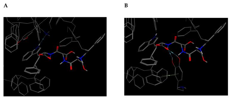 https://cdn.ncbi.nlm.nih.gov/pmc/blobs/3297/7727804/9c0e085c5866/molecules-25-05509-g007.jpg