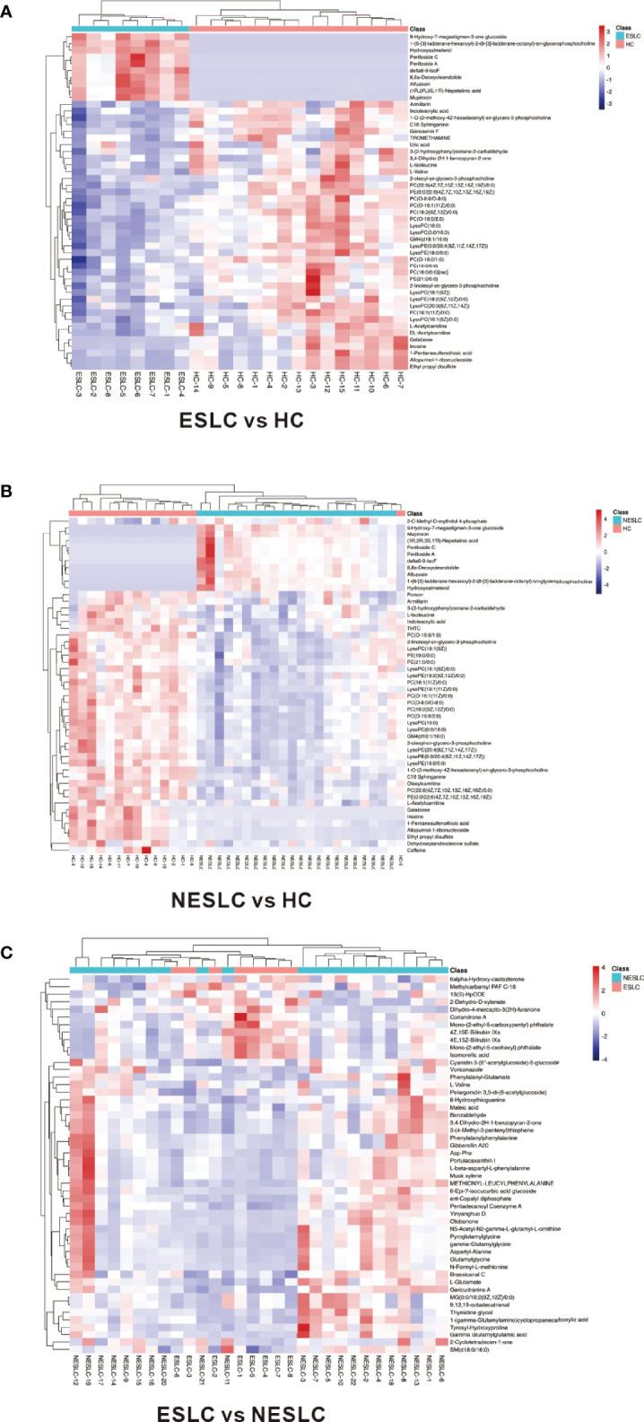 https://cdn.ncbi.nlm.nih.gov/pmc/blobs/3298/9108287/59cb047a9333/fcimb-12-885093-g004.jpg