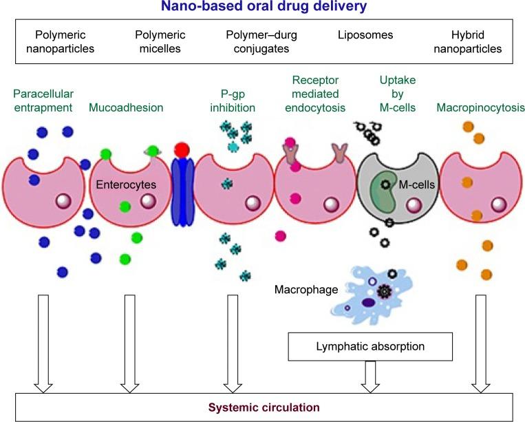 https://cdn.ncbi.nlm.nih.gov/pmc/blobs/3299/5997133/1745d717de35/ijn-13-3145Fig3.jpg