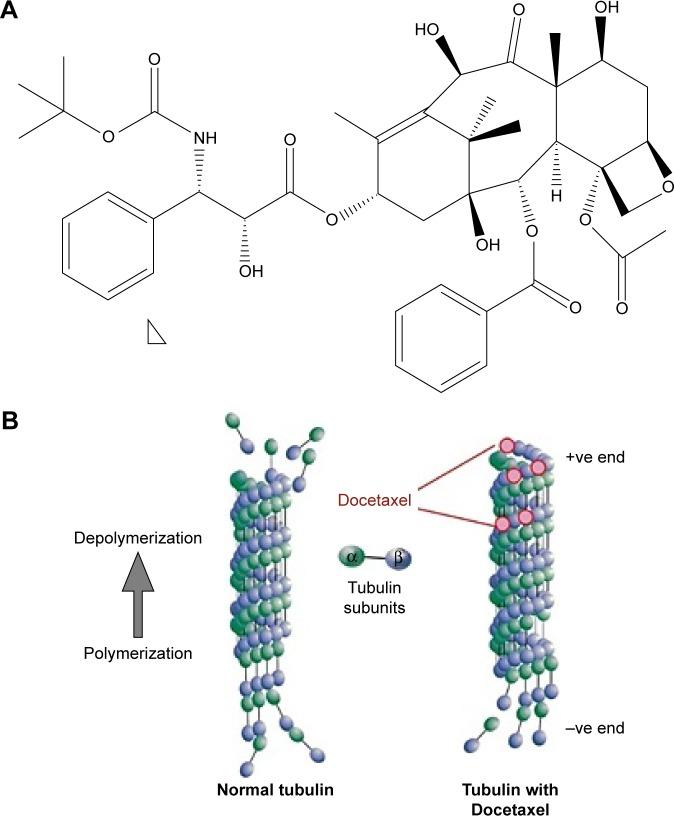 https://cdn.ncbi.nlm.nih.gov/pmc/blobs/3299/5997133/dafab46d8960/ijn-13-3145Fig1.jpg