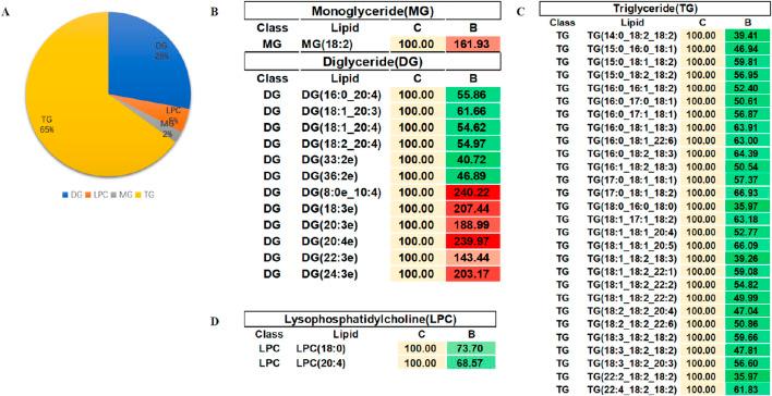 https://cdn.ncbi.nlm.nih.gov/pmc/blobs/329e/12391077/2ee6c3cd0418/fcell-13-1575431-g007.jpg