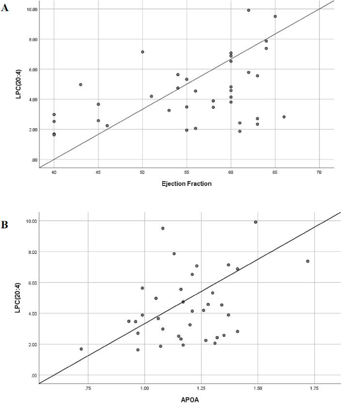 https://cdn.ncbi.nlm.nih.gov/pmc/blobs/329e/12391077/979f381d2b0a/fcell-13-1575431-g010.jpg