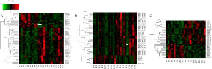 https://cdn.ncbi.nlm.nih.gov/pmc/blobs/329e/12391077/e8a6d3c6e076/fcell-13-1575431-g005.jpg