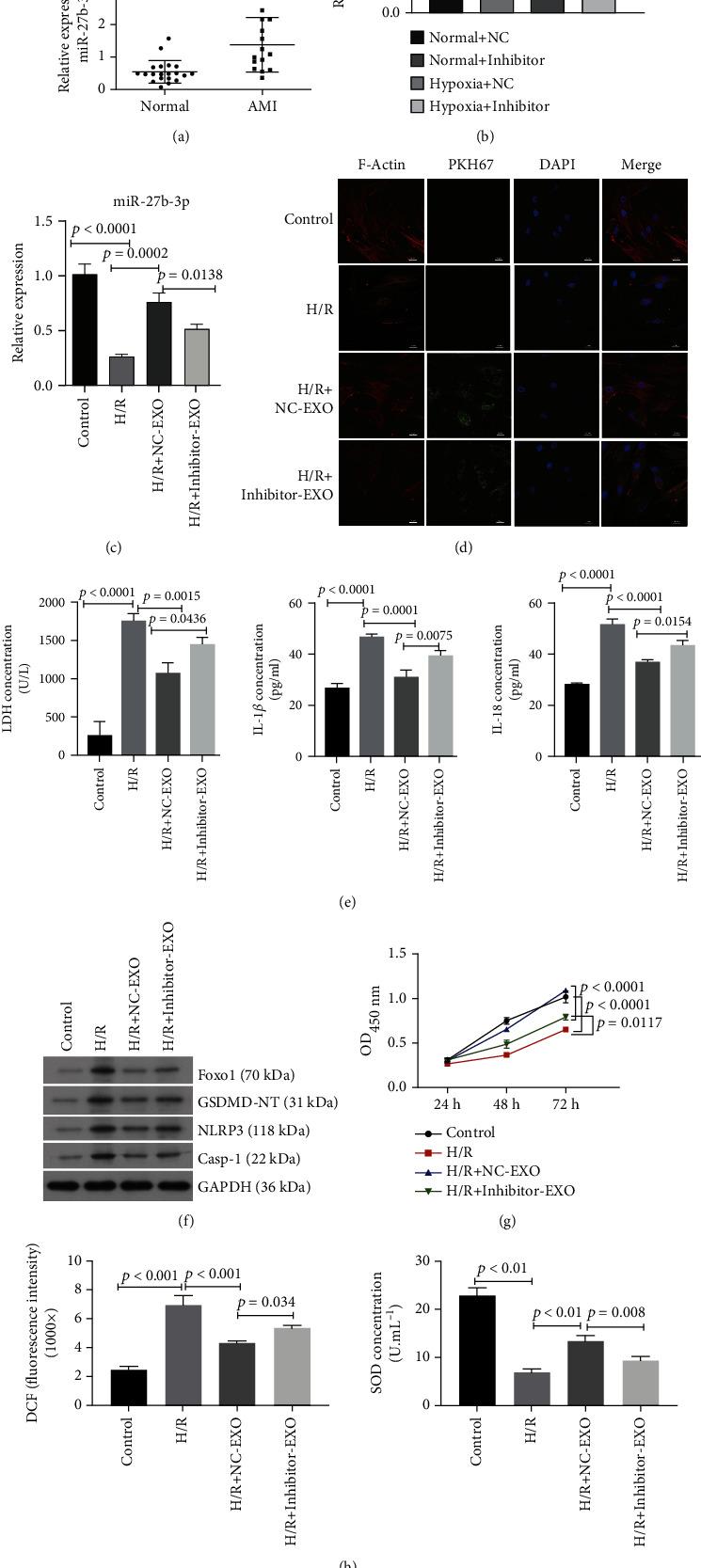 https://cdn.ncbi.nlm.nih.gov/pmc/blobs/32a0/9279077/201e401d13d0/OMCL2022-8215842.003.jpg