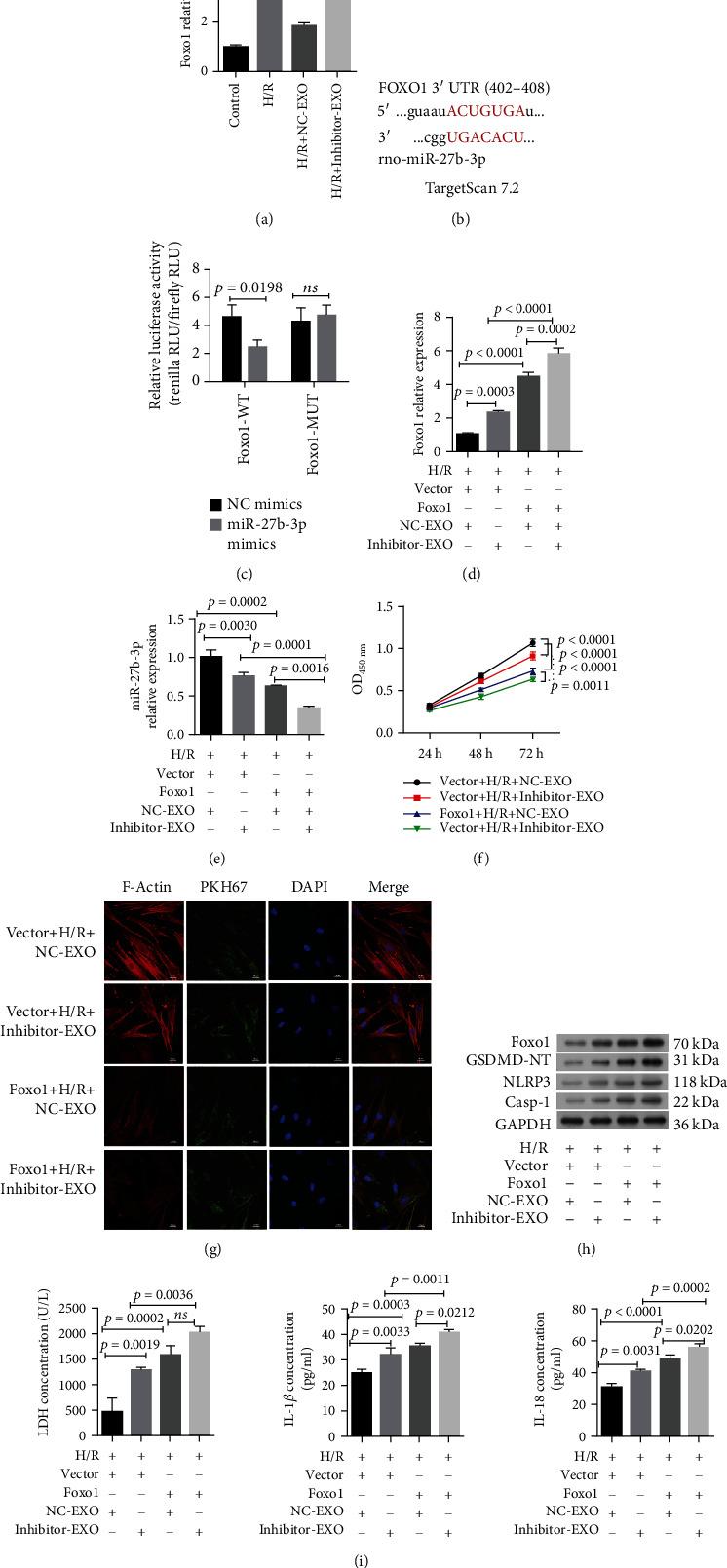 https://cdn.ncbi.nlm.nih.gov/pmc/blobs/32a0/9279077/6d05f073eaee/OMCL2022-8215842.004.jpg