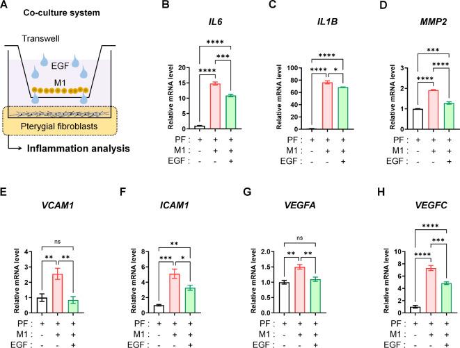 https://cdn.ncbi.nlm.nih.gov/pmc/blobs/32a3/11442942/99e3692a9e14/41598_2024_74413_Fig3_HTML.jpg
