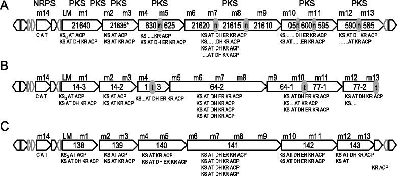 https://cdn.ncbi.nlm.nih.gov/pmc/blobs/32a3/5078962/67c98954e670/40793_2016_207_Fig5_HTML.jpg