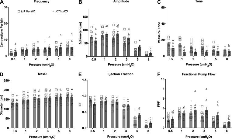 https://cdn.ncbi.nlm.nih.gov/pmc/blobs/32a4/10585095/4206b0c0e859/JGP_202313358_Fig4.jpg