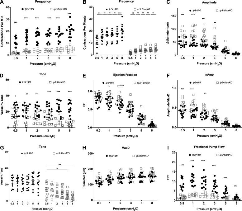 https://cdn.ncbi.nlm.nih.gov/pmc/blobs/32a4/10585095/d60f0eea9524/JGP_202313358_Fig3.jpg