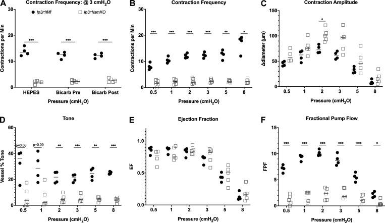 https://cdn.ncbi.nlm.nih.gov/pmc/blobs/32a4/10585095/edf538e16649/JGP_202313358_Fig5.jpg